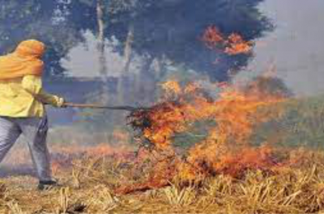 कृषि विभाग का दावा : करनाल में  70 प्रतिशत घटे पराली जलाने के मामले